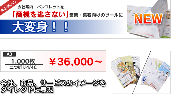 ��ҡ����ʡ������ӥ��Υ��᡼��������쥯�Ȥ�ɽ��